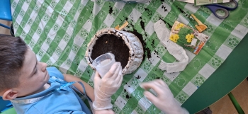 inbound6039608662788654793