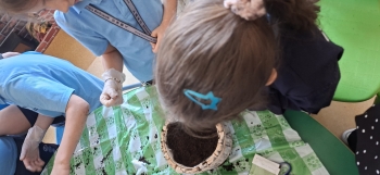 inbound7665049288925025403