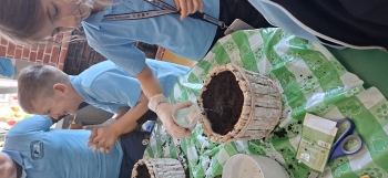 inbound6527255165598340609