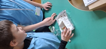 inbound2783172890186989926