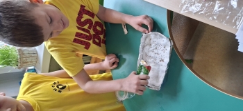 inbound8081929478713226546