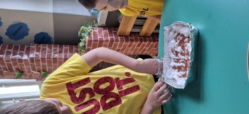 inbound7956833770743966326