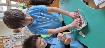 inbound9096837755253613820