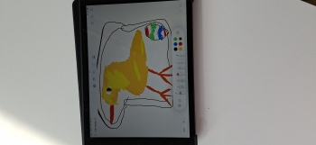 inbound848327934035384253