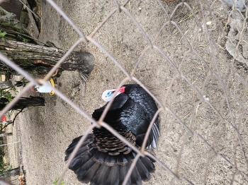 IMG_20260507_124733433_HDR