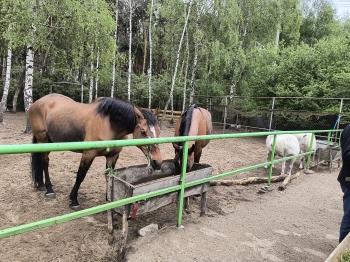 IMG_20260507_123426884_HDR