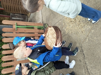 IMG_20260507_100137303