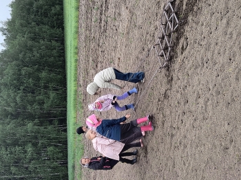 IMG_20260507_102635966_HDR