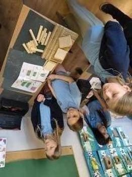 IMG_20260525_104253446