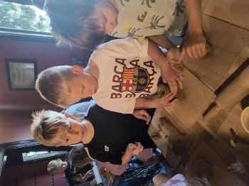 IMG_20260608_091712398_HDR