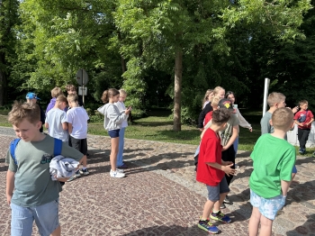 IMG_8913.jpeg