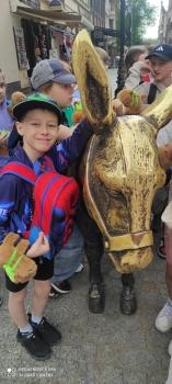 IMG_20260504_121317