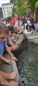 IMG_20260504_122030