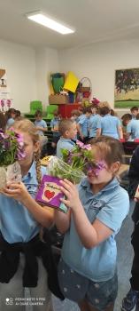 IMG_20260522_111129