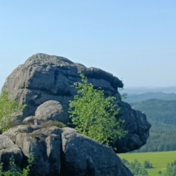 IMG20260526154653