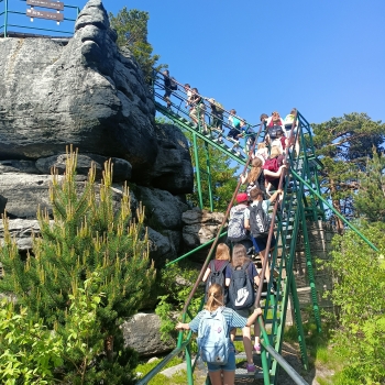 IMG20260526153503