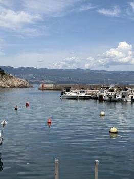 IMG_6146.jpeg