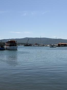 IMG_6122.jpeg