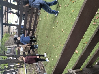 IMG_20260925_092326464