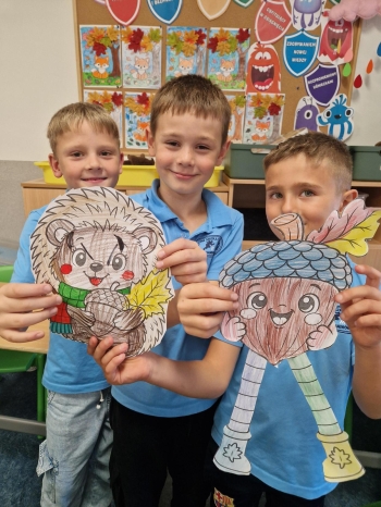 Multimedia (14)