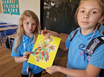 Multimedia (13)