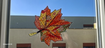 Multimedia (9)