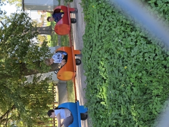 20261002_114356