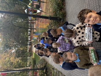 IMG_7530.jpeg