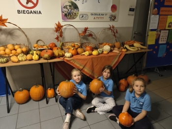 IMG_20261022_125810419