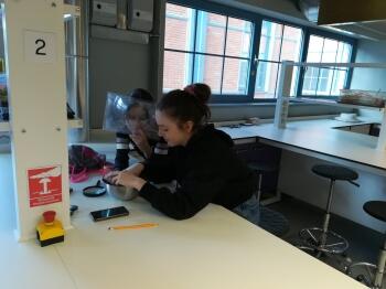 86727292_206811210436628_6690859135002476544_n