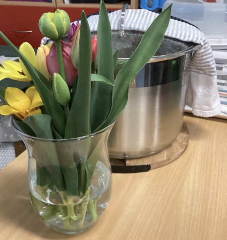 Holandia pod lupą..