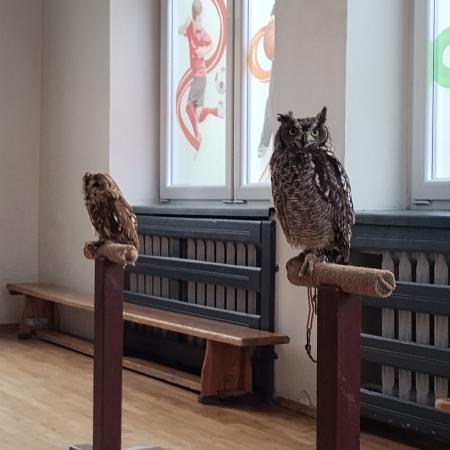 Odlotowa lekcja 29.05.2025 r.