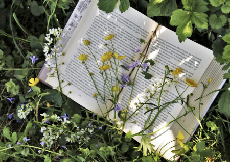 OGÓLNOPOLSKI DZIEŃ GŁOŚNEGO CZYTANIA W ''TRÓJCE''