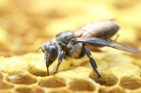 I MIEJSCE W KONKURSIE PRZYRODNICZO - EKOLOGICZNYM